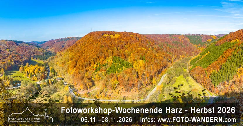 Workshop-Wochenende Harz - Herbst 2026